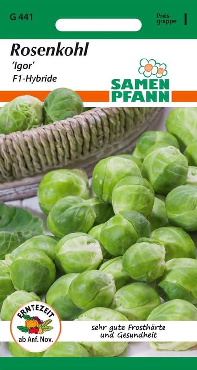 Spruitjes, Igor F1 - Groentezaden, zaden