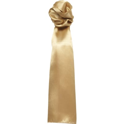 Premier Sjaal - Dames/vrouwen Gewone Zakelijke Sjaal (Goud)