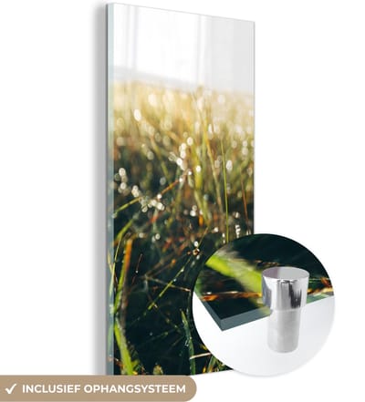 MuchoWow® Glasschilderij 20x40 cm - Schilderij acrylglas - Grasveld - Pampasgras - Gras - Foto op glas - Schilderijen