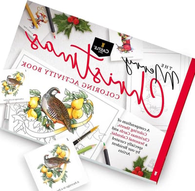 Kerst Kleurboek - Kaarten Kalender Scènes - Kleurreferentiegids - Artist Grade-papier - A4-formaat