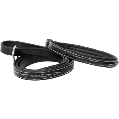 Hondenhalsband HV Polo Legacy