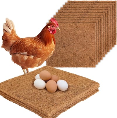 Kussen voor Kippennest, 33 x 33 cm Wasbare Plastic Bodembedekking voor Kippen, Nestboxen en Eieren (6 stuks)