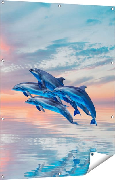 Gards Tuinposter Groep Dolfijnen Springen uit het Water - 90x120 cm - Tuindoek - Tuindecoratie - Wanddecoratie buiten - Tuinschilderij