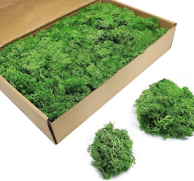 Kunstschuim 400g - Ambachtelijk mos - Bloemschikken - Natuurlijke uitstraling - 400 gram - Groen