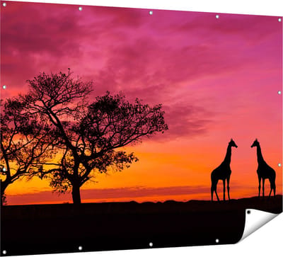 Gards Tuinposter Twee Giraffe Silhouetten bij Zonsondergang - 160x120 cm - Tuindoek - Tuindecoratie - Wanddecoratie buiten - Tuinschilderij