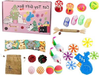 Kattenspeelgoedpakket - Speelgoed voor katten - Beweging en spel - 24 unieke speeltjes - 28.5 x 20 x 5 cm