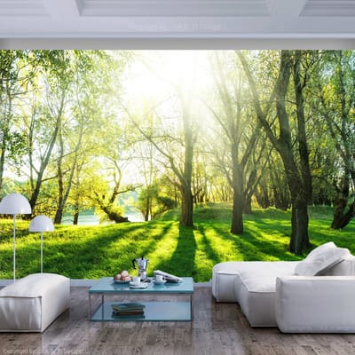 98cm X 70cm - Zelfklevend fotobehang -  Zonnige dag in een bos  , Premium Print