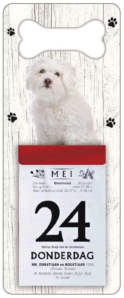 Scheurkalender 2027 Hond: Bolognezer