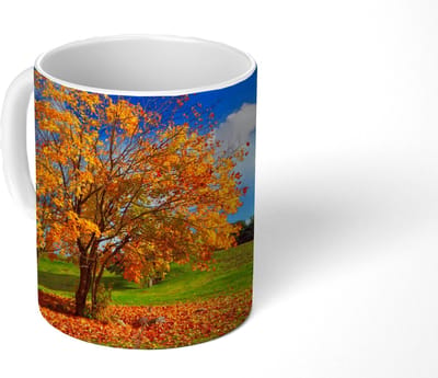 Mok - Koffiemok - Boom - Bladeren - Herfst - Seizoenen - Mokken - 350 ML - Beker - Koffiemokken - Theemok