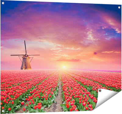 Gards Tuinposter Rode Rozen Bloemenveld met een Windmolen - 100x80 cm - Tuindoek - Tuindecoratie - Wanddecoratie buiten - Tuinschilderij