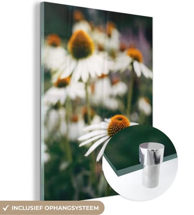 MuchoWow® Glasschilderij 30x40 cm - Schilderij acrylglas - Bloemen - Herfst - Botanisch - Foto op glas - Schilderijen