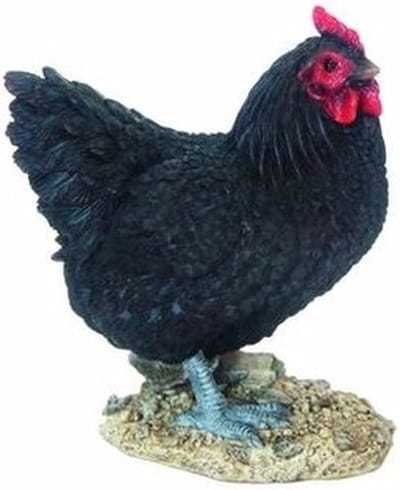 Esschert Design tuin dieren beeld - Kip - zwart - 20 cm - polystone - boerderij thema