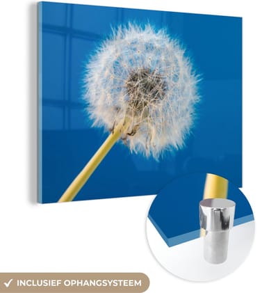 MuchoWow® Glasschilderij 40x30 cm - Schilderij acrylglas - Paardenbloem - Bloem - Terras - Foto op glas - Schilderijen