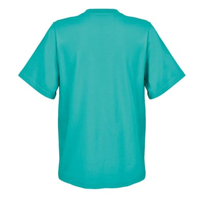 SOLS Dames/Dames Legend T-shirt (Caribisch Blauw)