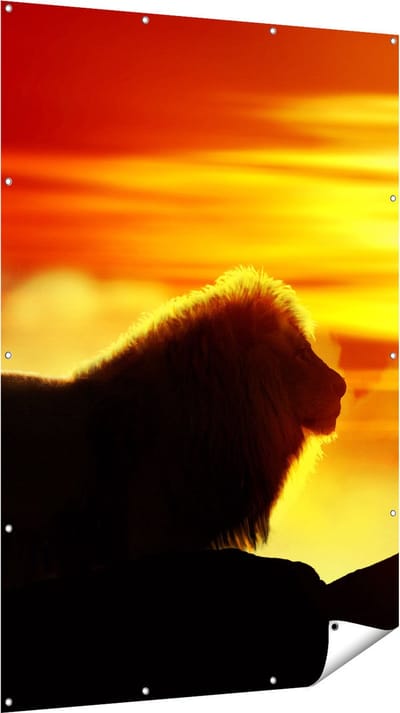 Gards Tuinposter Leeuw en Tijger - Silhouet - Zonsopkomst - 120x180 cm - Tuindoek - Tuindecoratie - Wanddecoratie buiten - Tuinschilderij