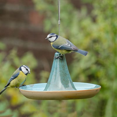 CJ Wildlife Vogeldrinkschaal voor Tuinvogels - Vierno Tajine - Waterschaal voor Buiten - Keramische Drinkschaal - Hangend