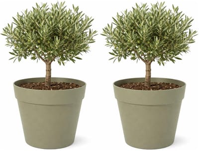 Mega Collections Plantenpot / bloempot - 2x - kunststof - olijfgroen - binnen/buiten - D34 x H33 cm