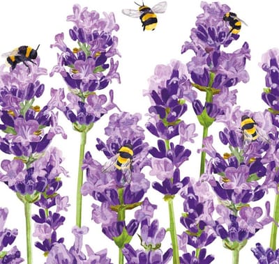 PPD - Lunch servetten - Bees & Lavender