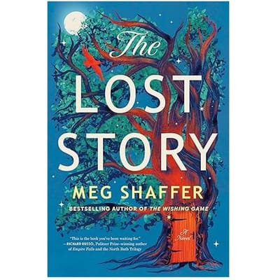 The Lost Story - Meg Shaffer