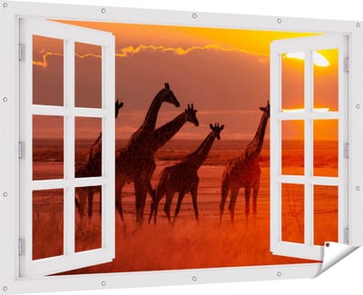 Gards Tuinposter Doorkijk Giraffe Kudde bij Zonsondergang - 180x120 cm - Tuindoek - Tuindecoratie - Wanddecoratie buiten - Tuinschilderij