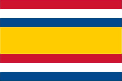 Vlag Tholen 30x45cm