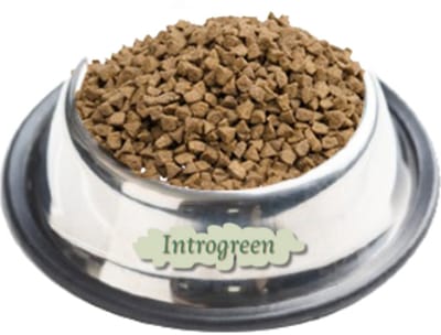 Premium Kat Indoor: Hoogwaardige Voeding voor Binnenhuis Levende Katten van Alle Rassen 10 kg
