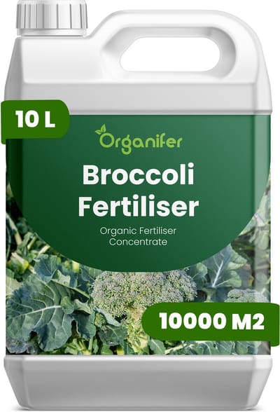 Vloeibare Meststof Voor Broccoli 10 L Voor 10000 M2 - Npk 2-1-8 - Krachtige Groei - Sterk Wortelstelsel - Stressbestendigheid - Nutriëntenopname - Plantvitaliteit - Stevige Stengels - Diepgroene Bladkleur - Voedingswaarde - Organifer