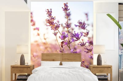Behang - Fotobehang Lavendel - Close-up - Zon - Bloemen - Paars - Breedte 175 cm x hoogte 240 cm