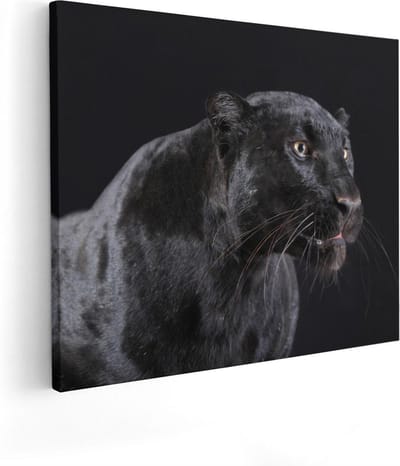 Artaza Canvas Schilderij Panter - 100x80 cm - Groot - Wanddecoratie Dieren - Muurdecoratie Zwarte Panter - Schilderijen Op Canvas