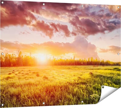 Gards Tuinposter Zonsopkomst in het Veld - 120x90 cm - Tuindoek - Tuindecoratie - Wanddecoratie buiten - Tuinschilderij