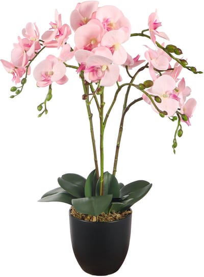 Kunstplant Orchidee Roze | 70cm – Realistische Kunstorchidee – Luxe Bloemenplant – Onderhoudsvrij – Decoratie voor Woonkamer en Kantoor