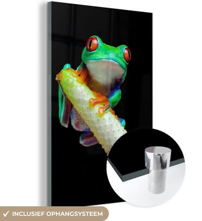 MuchoWow® Glasschilderij 120x180 cm - Schilderij acrylglas - Kikker - Dieren - Plant - Foto op glas - Schilderijen