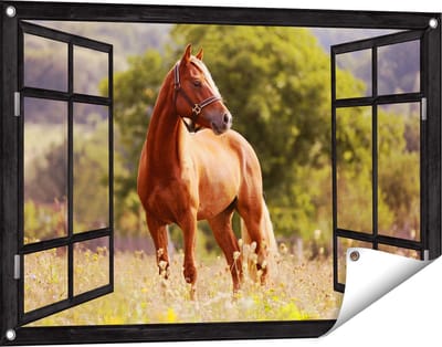 Gards Tuinposter Doorkijk Bruin Paard in de Wei - 90x60 cm - Tuindoek - Tuindecoratie - Wanddecoratie buiten - Tuinschilderij