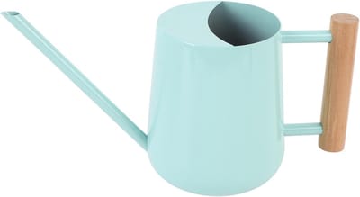 Stijlvolle Gieter - Roestvrij Staal - Planten Water Geven - Houten Handvat - 26 x 16 x 12 cm