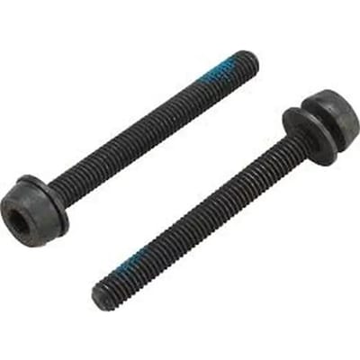 44 mm schroef voor montage achteraan Campagnolo 35-39 mm (x2)