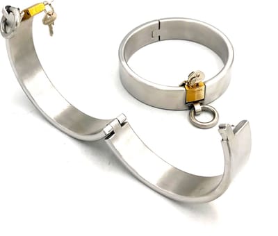 Metalen rvs halsband plus slot
