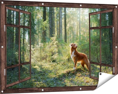 Gards Tuinposter Doorkijk Retriever Hond in het Bos met Zon - 120x80 cm - Tuindoek - Tuindecoratie - Wanddecoratie buiten - Tuinschilderij