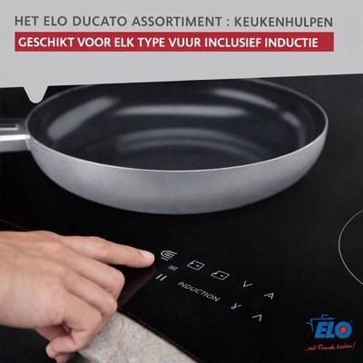 Pan voor alle warmtebronnen 24 cm zonder PFAS Elo Ducato