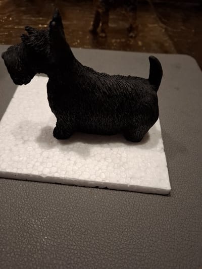schotse terrier