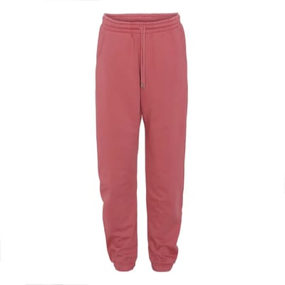 Jogging Colorful Standard Organic raspberry pink