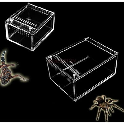 Boîtes d'élevage en Acrylique Transparent pour Araignées Centipèdes Scarabées Grenouilles Cornues et Autres Animaux Rampants