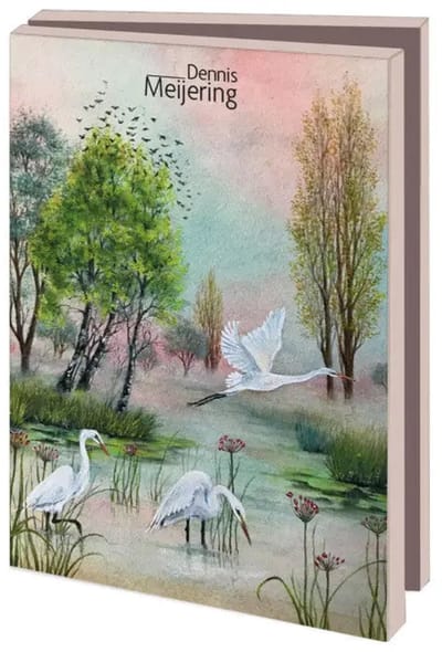 Kaartenmapje met env, klein: Vogels, Dennis Meijering