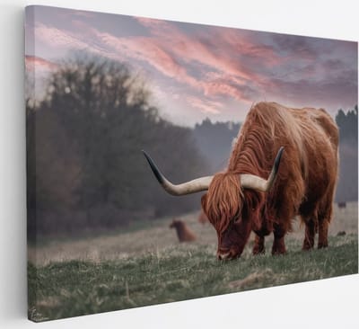 Saammp Canvas Schilderij Schotse Hooglander Koe in de sneeuw- Dieren - Natuur - 30x20 - Foto op canvas - Wanddecoratie - muurdecoratie Woonkamer - Slaapkamer decoratie - Canvas Print