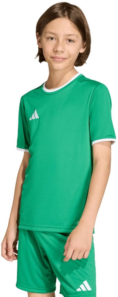 adidas T-shirt Kinderen Entrada 26 Jersey Groen - Maat 116cm