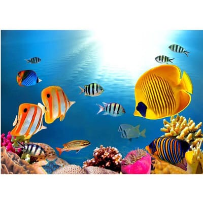 DIY 5D Diamond Painting Ocean World volledig rond diamantborduurwerk 20X30CM blue