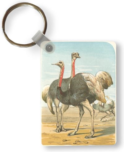 Sleutelhanger - Illustratie van een groep struisvogels - Uitdeelcadeautjes - Plastic