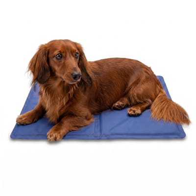 Zelfkoelende Koelmat voor Honden – Verkoelende Ligmat – Zomer Mat – 30x40 cm