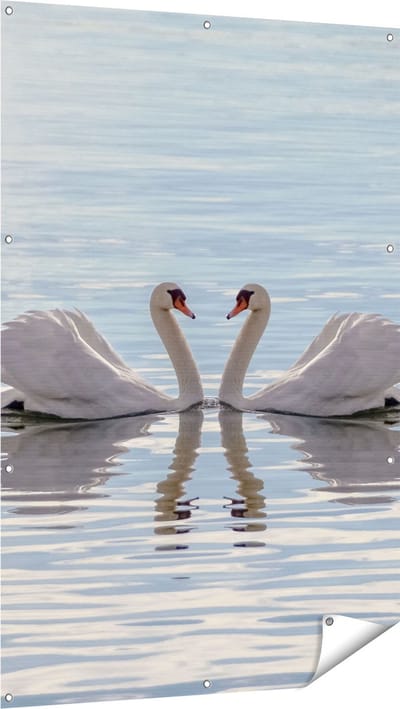 Gards Tuinposter Zwanen Koppel op het Water - 100x150 cm - Tuindoek - Tuindecoratie - Wanddecoratie buiten - Tuinschilderij