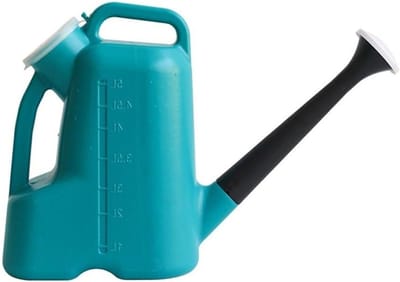 5L Gieter - Waterkan Planten - Binnen en Buiten - Dubbele Handgrepen - 5 Liter - Blauw
