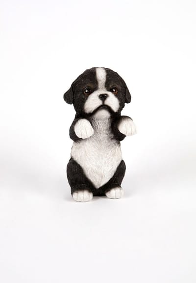 Border Collie pup - Hamac - Tuinbeeld